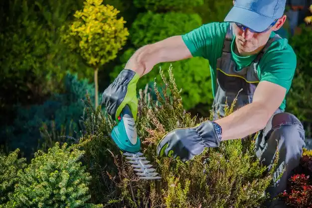 landscaping services Worcester